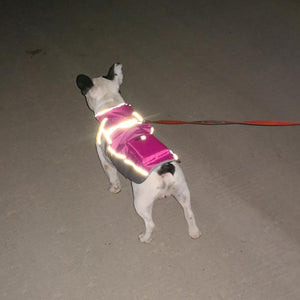 patrolcart - Reflective Dog Harness